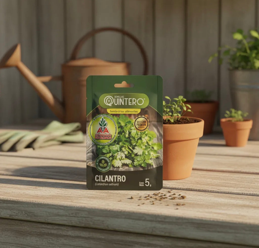 Semillas Cilantro No Transgénica 100% Natural Orgánica Agroa