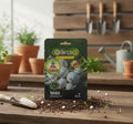 Semillas De Nabo No Transgénica 100% Natural Orgánica Agro A