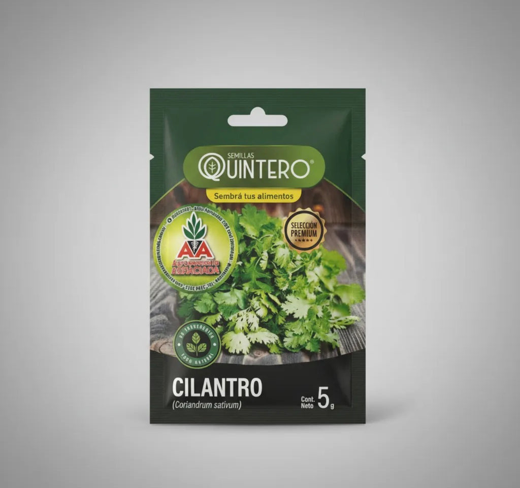 Semillas Cilantro No Transgénica 100% Natural Orgánica Agroa
