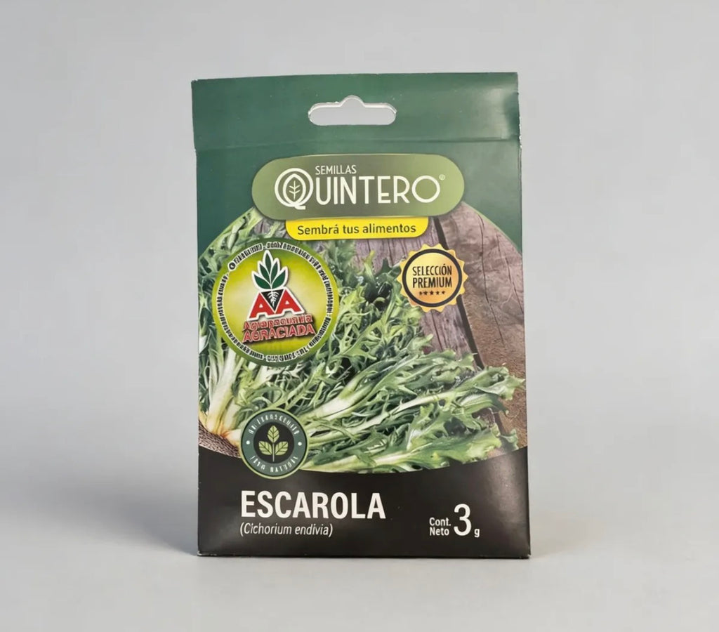 Semillas Escarola No Transgénica 100% Natural Orgánica Agroa