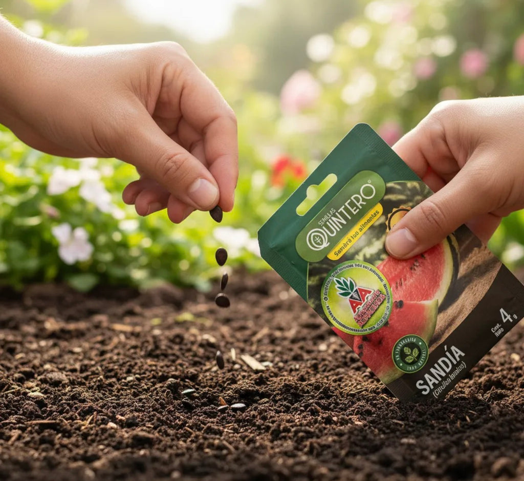 Semillas Sandia No Transgénica 100% Natural Orgánica Agro A