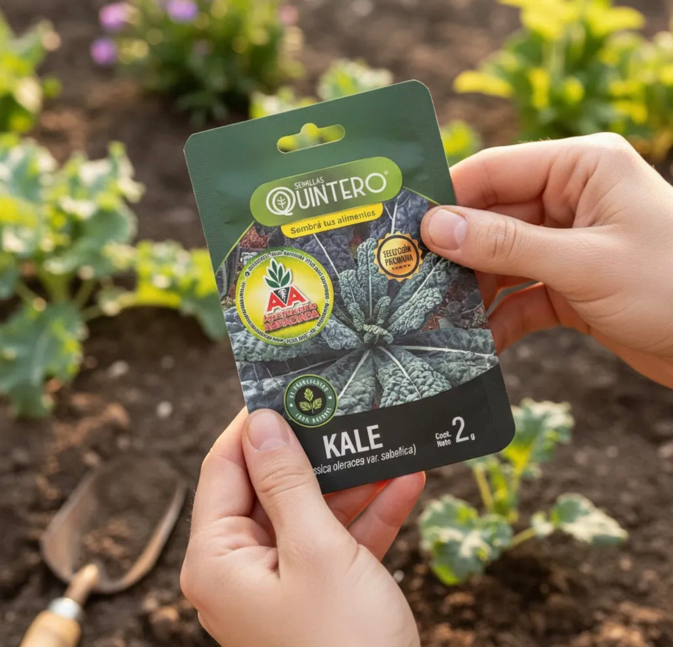 Semillas Kale No Transgénica 100% Natural Orgánica Agro A