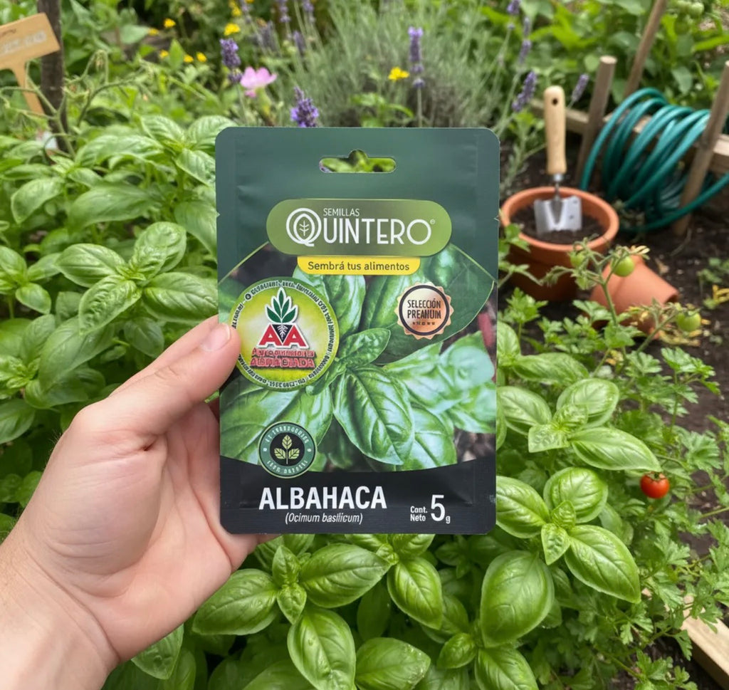 Semillas De Albahaca Para Cultivo (5g) Agro A