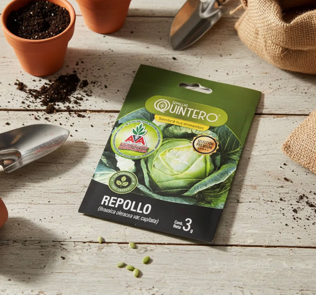 Semillas Repollo No Transgénica 100% Natural Orgánica Agro A