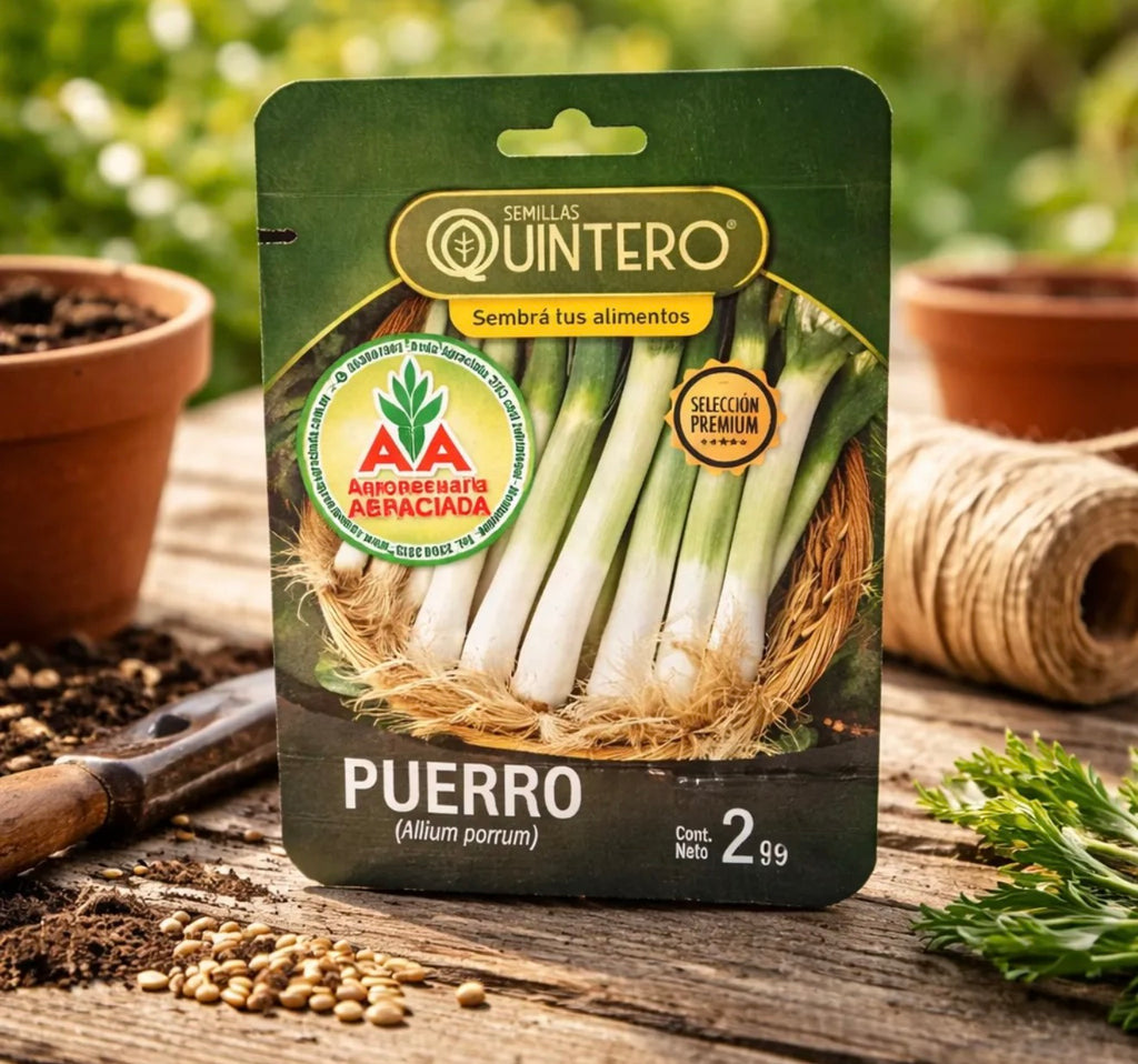 Semillas Puerro No Transgénica 100% Natural Orgánica Agro A