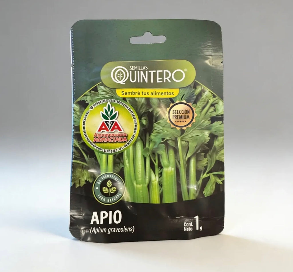 Semillas De Apio No Transgénica 100% Natural Orgánica Agro A