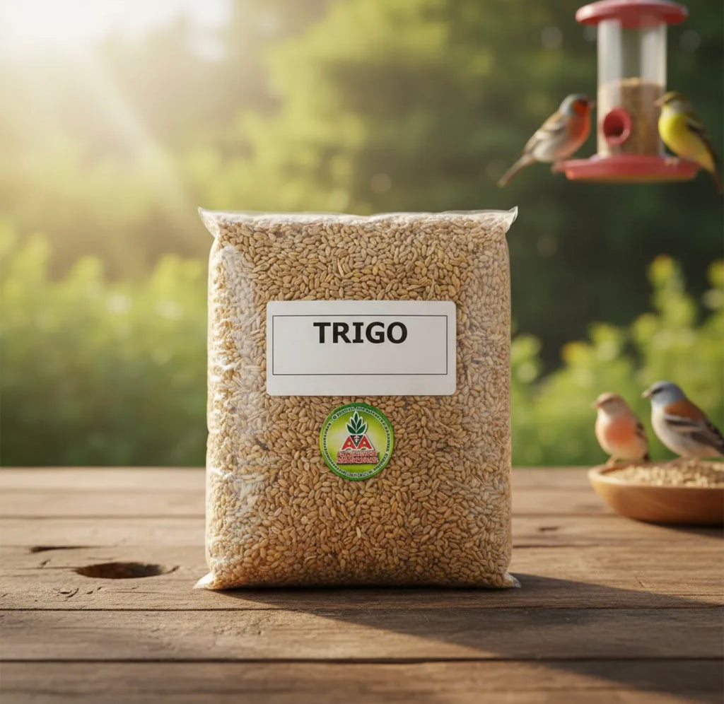 Trigo Alimento Para Aves X 1 Kg Agro A