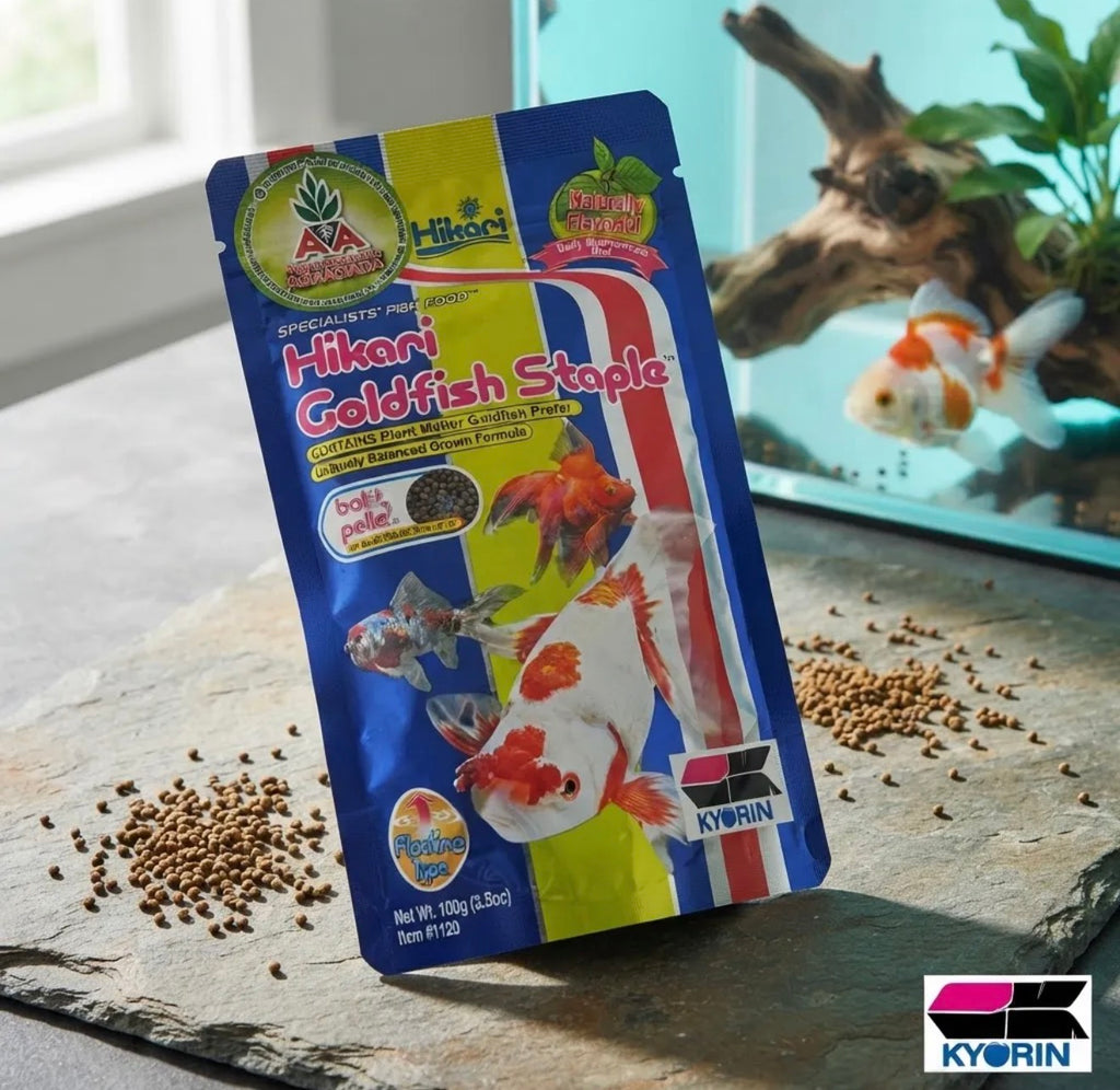 Hikari Goldfish Staple Mini Pellet 100g Alimento Premium Aa