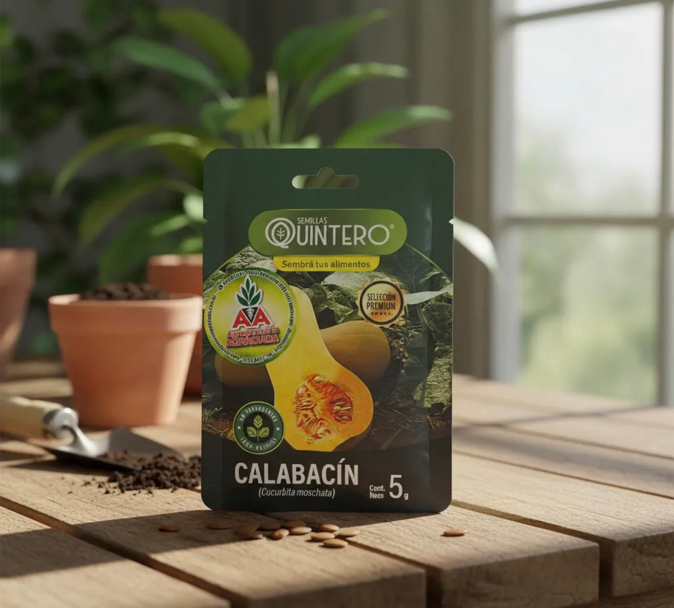 Semillas De Calabacin No Transgénica 100% Natural Orgánica
