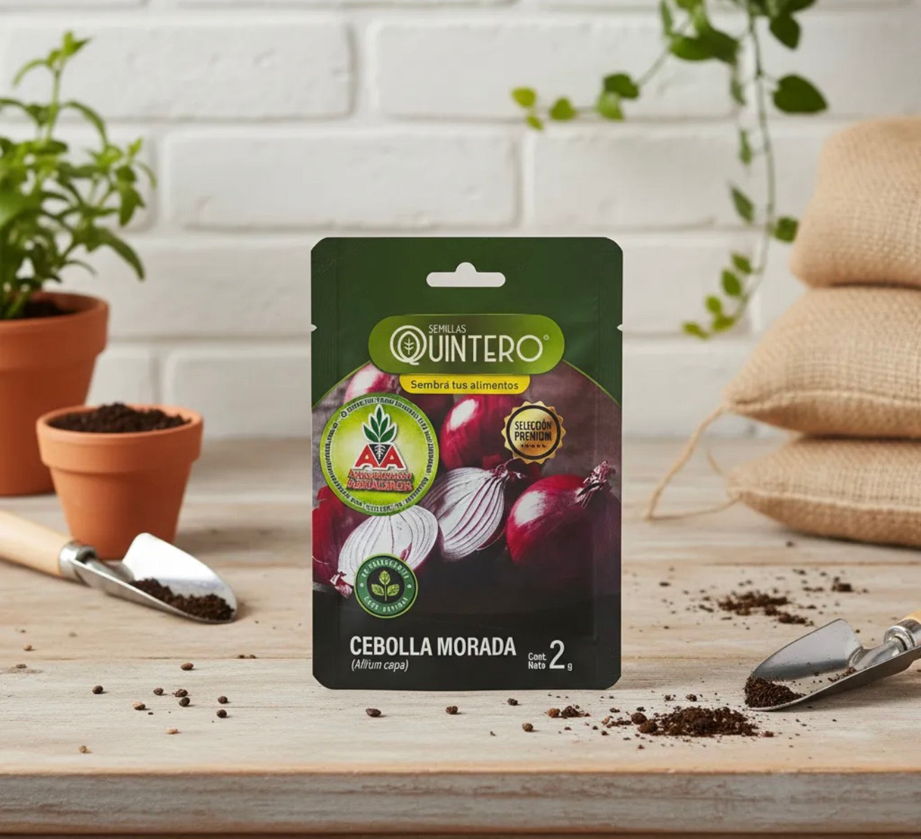 Semillas Cebolla No Transgénica 100% Natural Orgánica Agro A