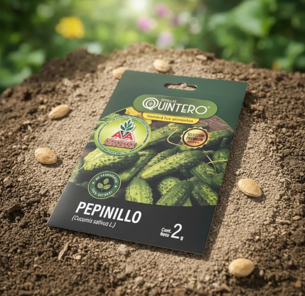 Semillas Pepinillo No Transgénica 100% Natural Orgánica