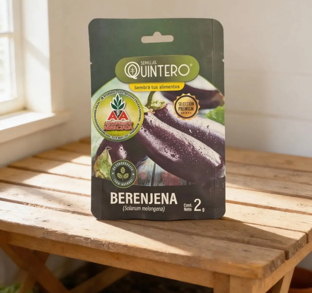 Semillas Berenjena No Transgénica 100% Natural Orgánica