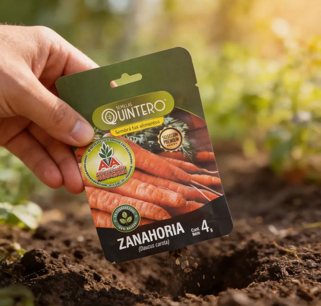 Semillas Zanahoria No Transgénica 100% Natural Orgánicaagroa