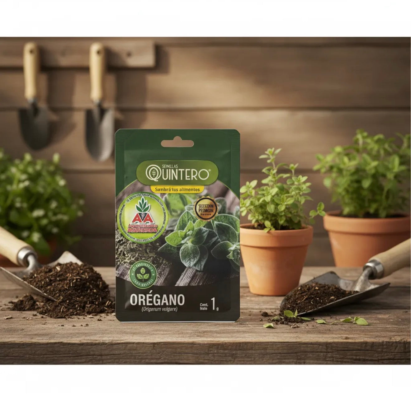 Semillas Orégano No Transgénica 100% Natural Orgánica Agro A