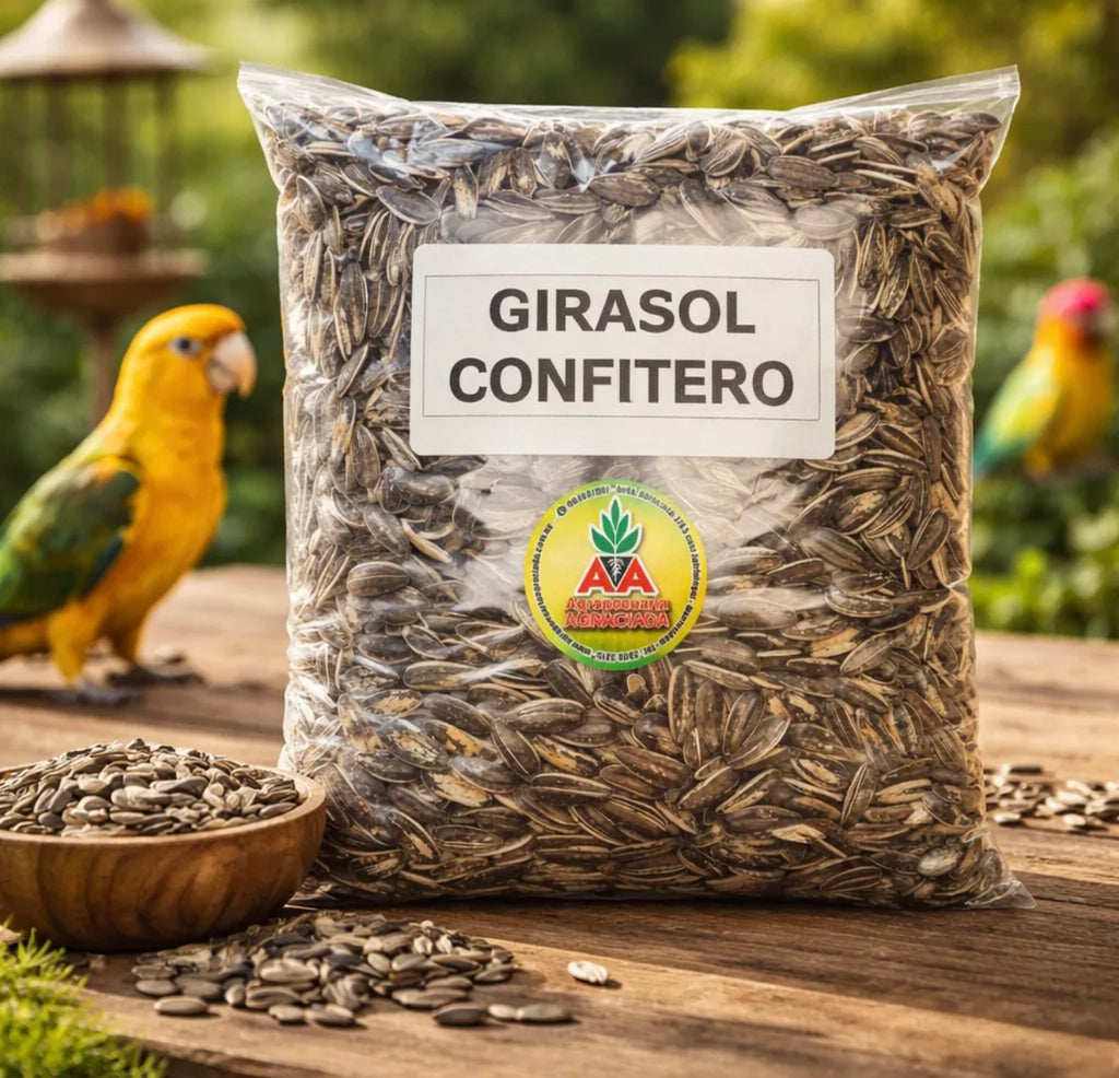 Girasol Confitero Para Aves X 1 Kg Agro A