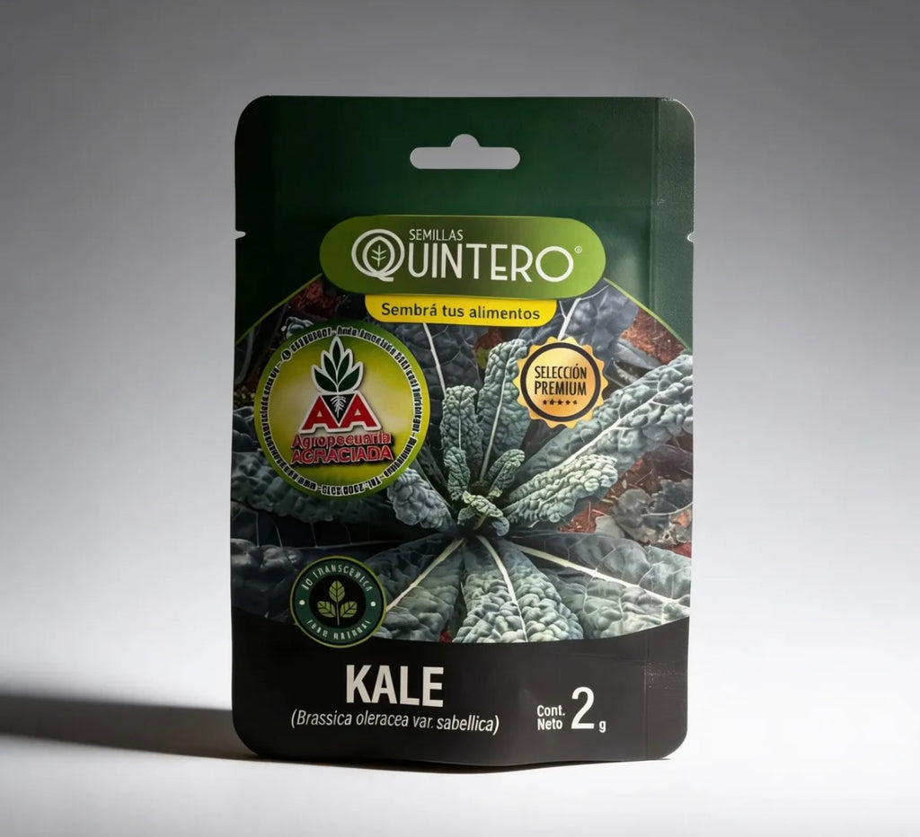 Semillas Kale No Transgénica 100% Natural Orgánica Agro A