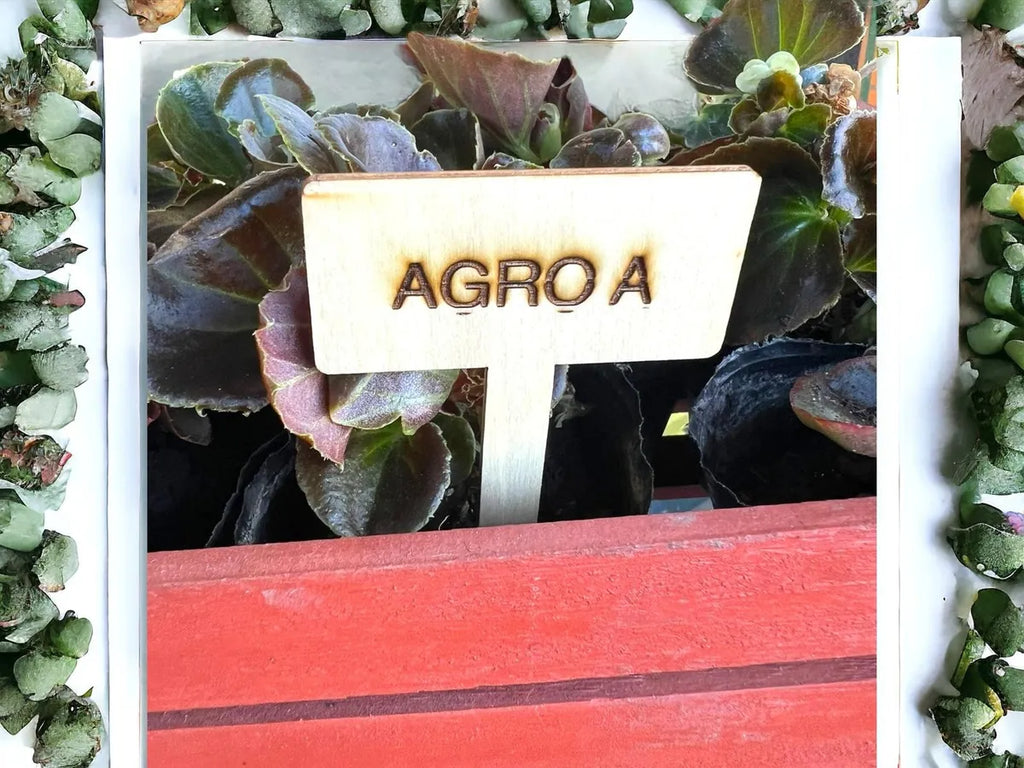 Identificadores De Plantas En Bambú Modelo Rectangular X10 Marrón Claro Rectangular