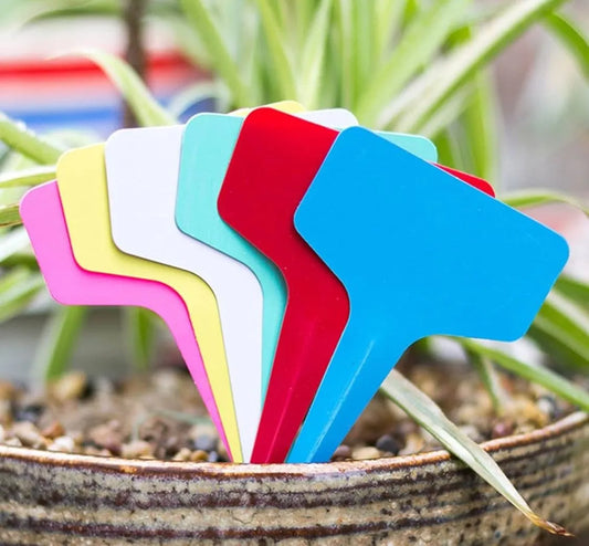 Identificadores Para Plantas Plástico Modelo T X 100