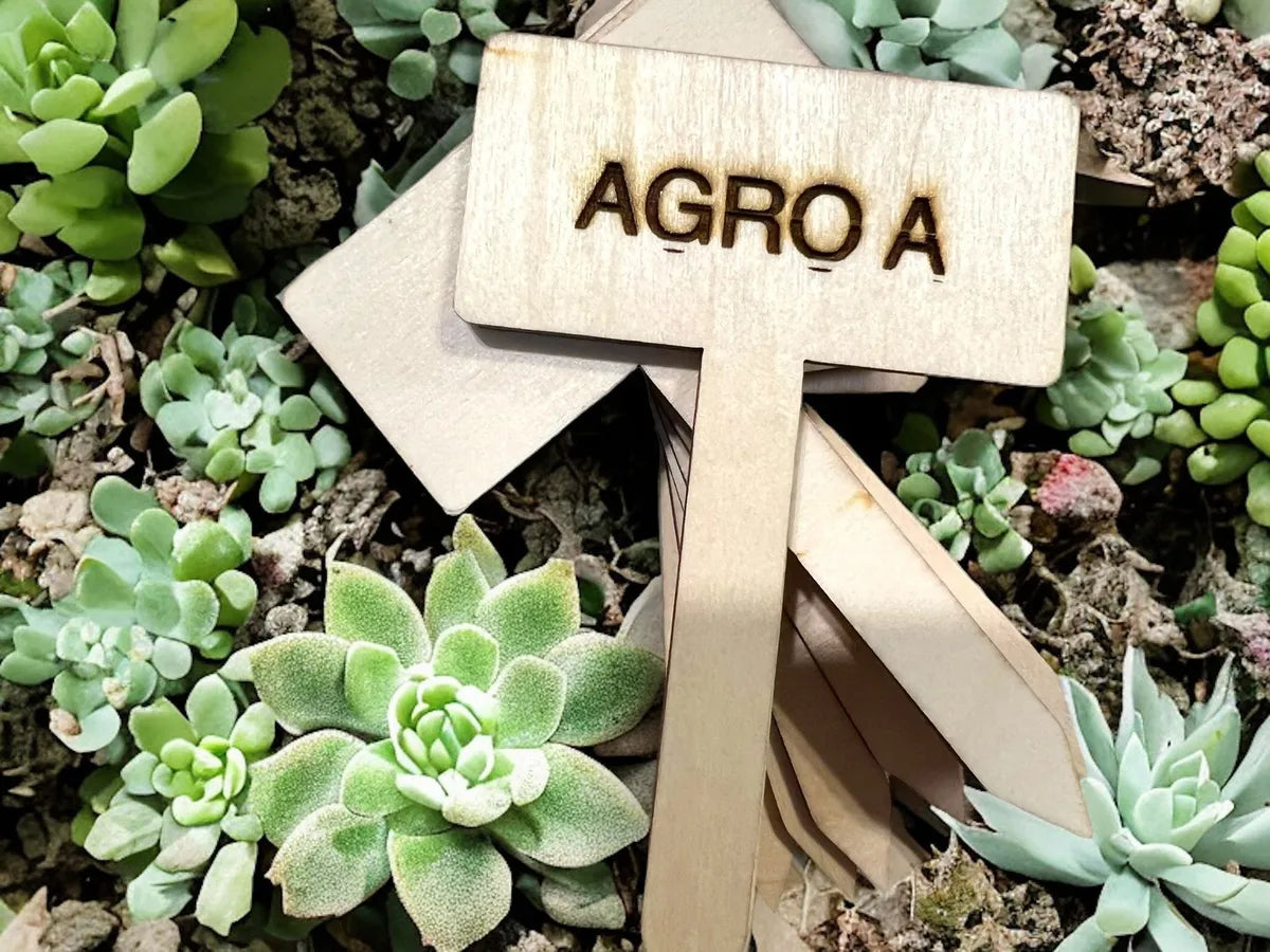 Identificadores De Plantas En Bambú Modelo Rectangular X10 Marrón Claro Rectangular