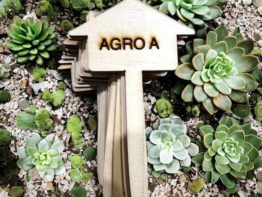 Identificadores De Plantas De Bamboo Modelo Casita X10 Marrón Claro