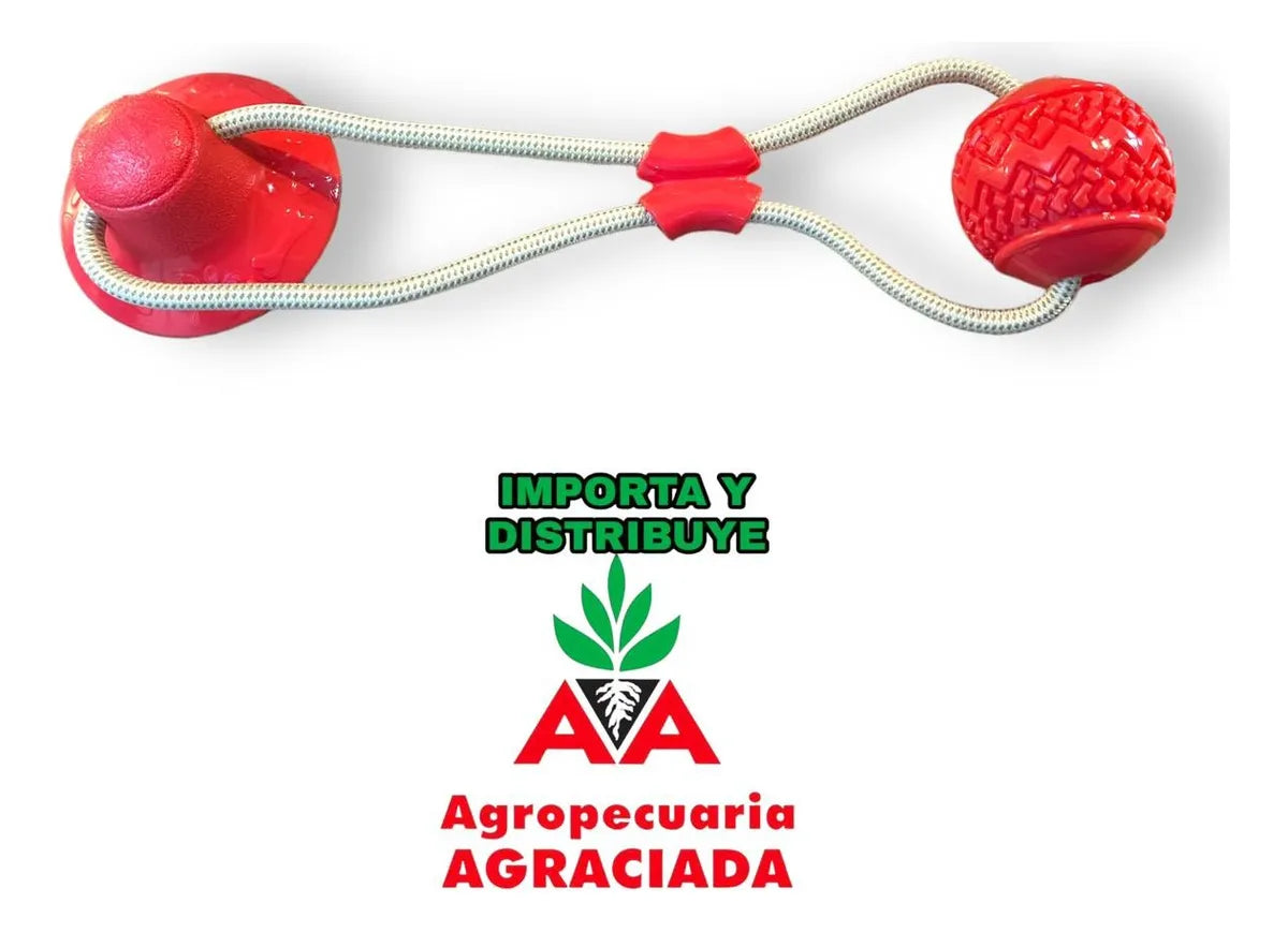 Juguete Para Perros Limpia Dientes Modelo Pelota Con Ventosa