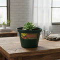 Maceta Plastica Exterior Interior Linea A 12 Cm X 2 Unidades