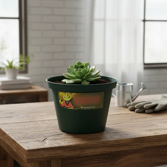 Maceta Plastica Exterior Interior Linea A 12 Cm X 2 Unidades