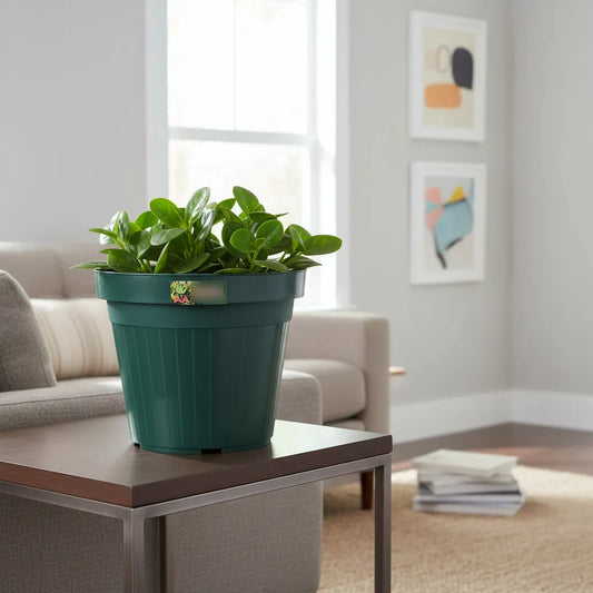 Maceta Plástica Exterior Interior Agro A Pl 20 Cms