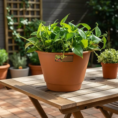 Maceta Plastica Exterior Interior Modelo Elegant 26 Cms