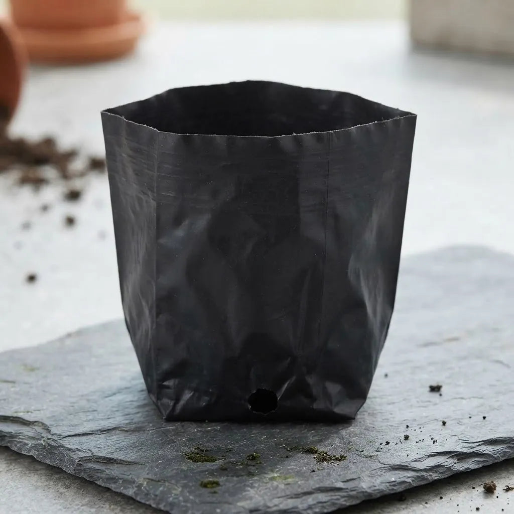 Maceta Bolsa Mini Fina Para Vivero X50u ( 6cm, 9cm , 11cm)