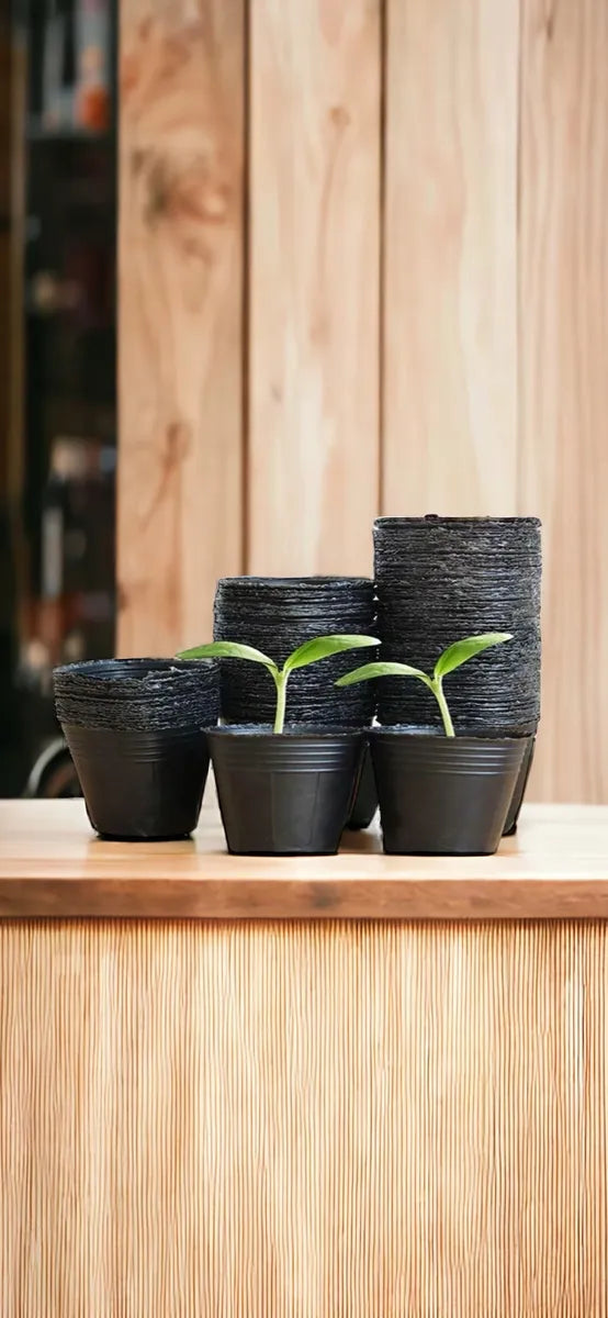 20 Macetas Negras De Vivero 16 Cm Plantas Tunas Plantines Negro