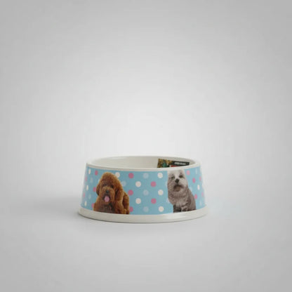 Plato Melamina Diseños Nº3 (21 cms)