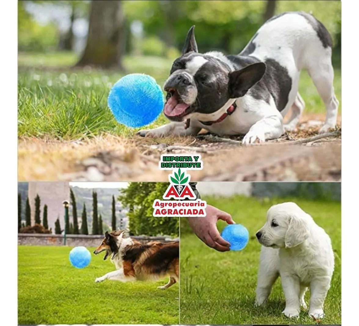 Pelota Robótica Juguete Para Mascotas + 4 Fundas De Colores Varios