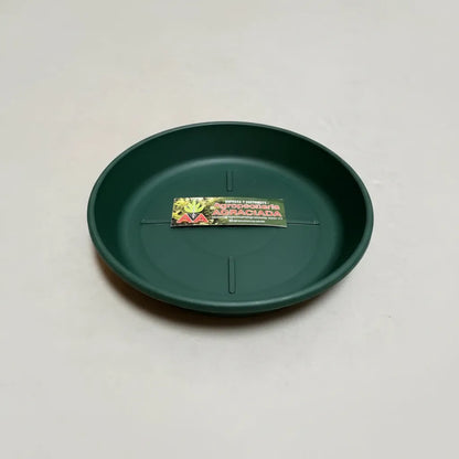 Plato Para Maceta Plastico Terracota O Verde 16 Cms Pack X 2