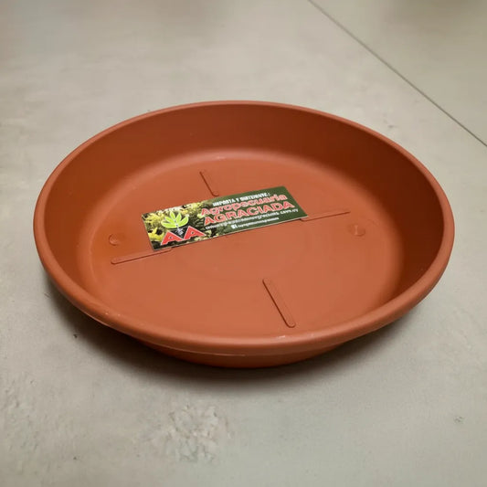 Plato Para Maceta Plastico Terracota O Verde 14 Cms Pack X 2