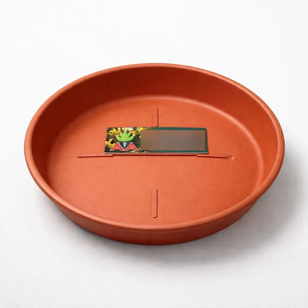 Plato Para Maceta Plastico Terracota O Verde 16 Cms Pack X 2