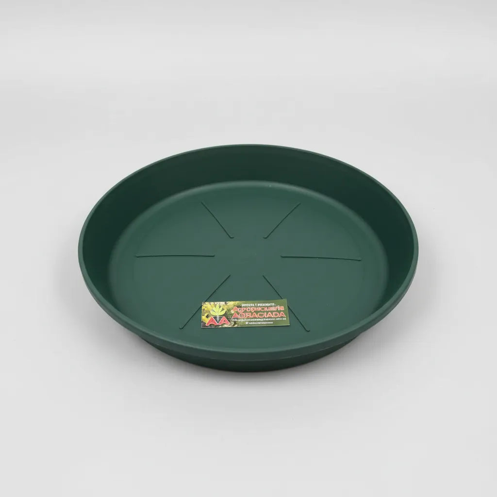 Plato Para Maceta Plástico Verde 24 Cms.