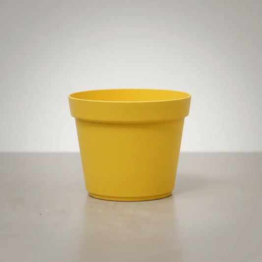 Maceta Para Tunas Suculentas Cilindricas 7 Cms Mix X 10 Unid