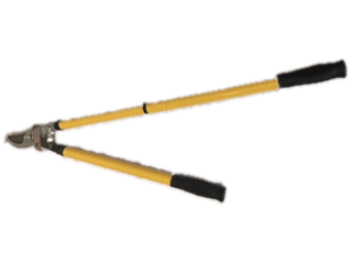 Tijera de Poda Extensible de 60 a 90 cts