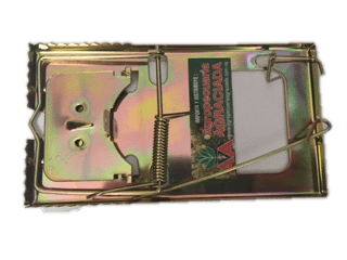 Trampa para Ratas de Metal