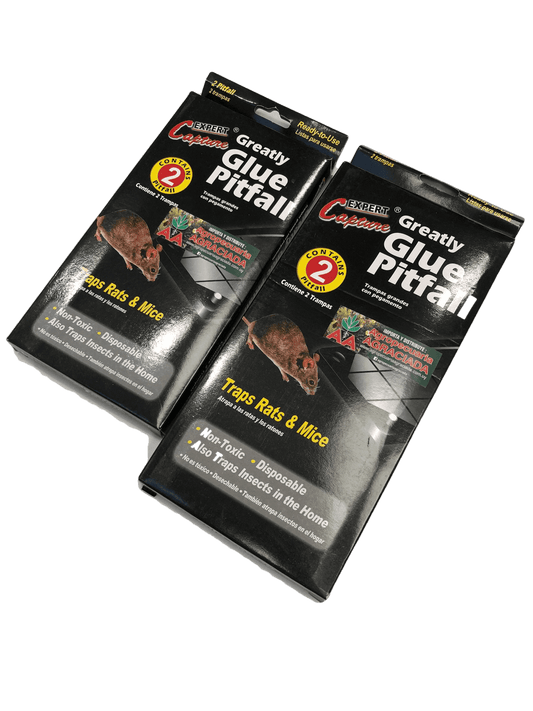 Trampa Adhesiva para Ratones x 2