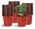 Macetas Termoformadas Jardinería 10 Unidades 9 Cts. Marrón