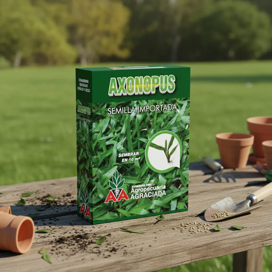 Semillas De Cesped Brasilero Axonopus Hoja Ancha
