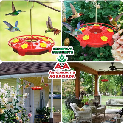 Bebedero Picaflor O Colibrí Plato Agro-a Rojo