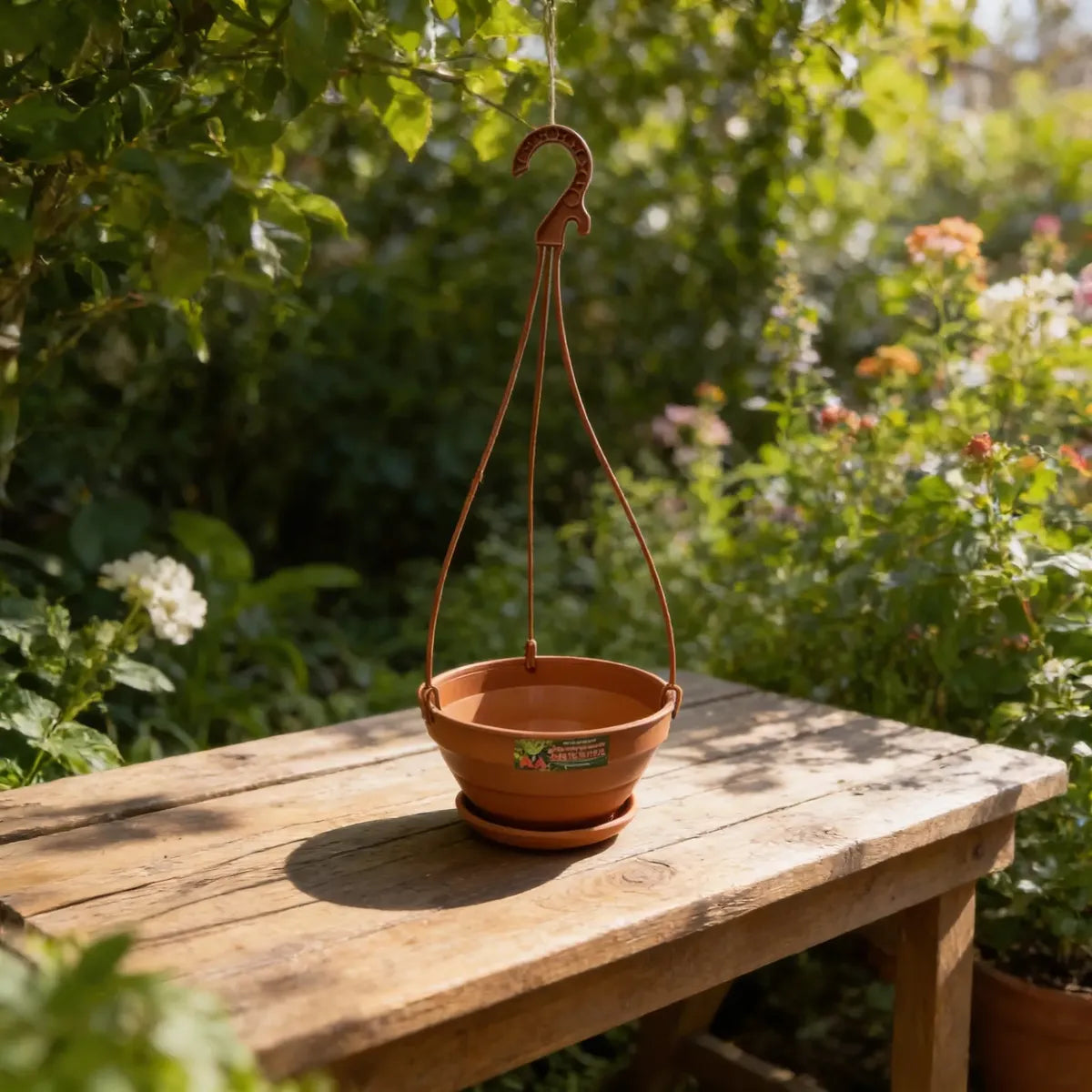 Maceta Colgante Bols 22 Cm Con Plato Agro A Para Plantas
