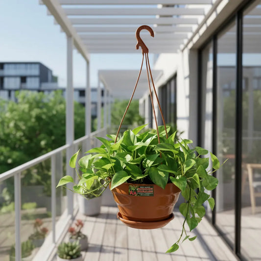 Maceta Colgante Bols 24 Cm Con Plato Agro A Para Plantas