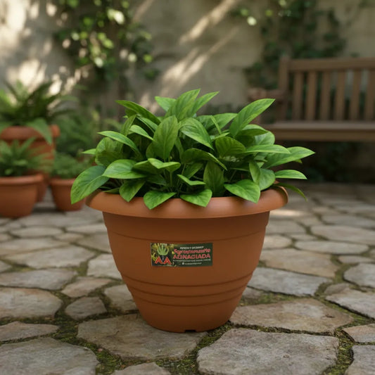 Maceta Italiana Exterior Interior Modelo Campana 53 Cms