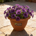Maceta Italiana Exterior Interior Modelo Campana 43 Cms