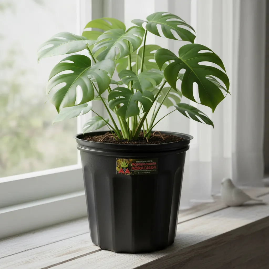 Maceta Soplada Canadiense Plantas Vivero 5lts Pack X10 Unidades