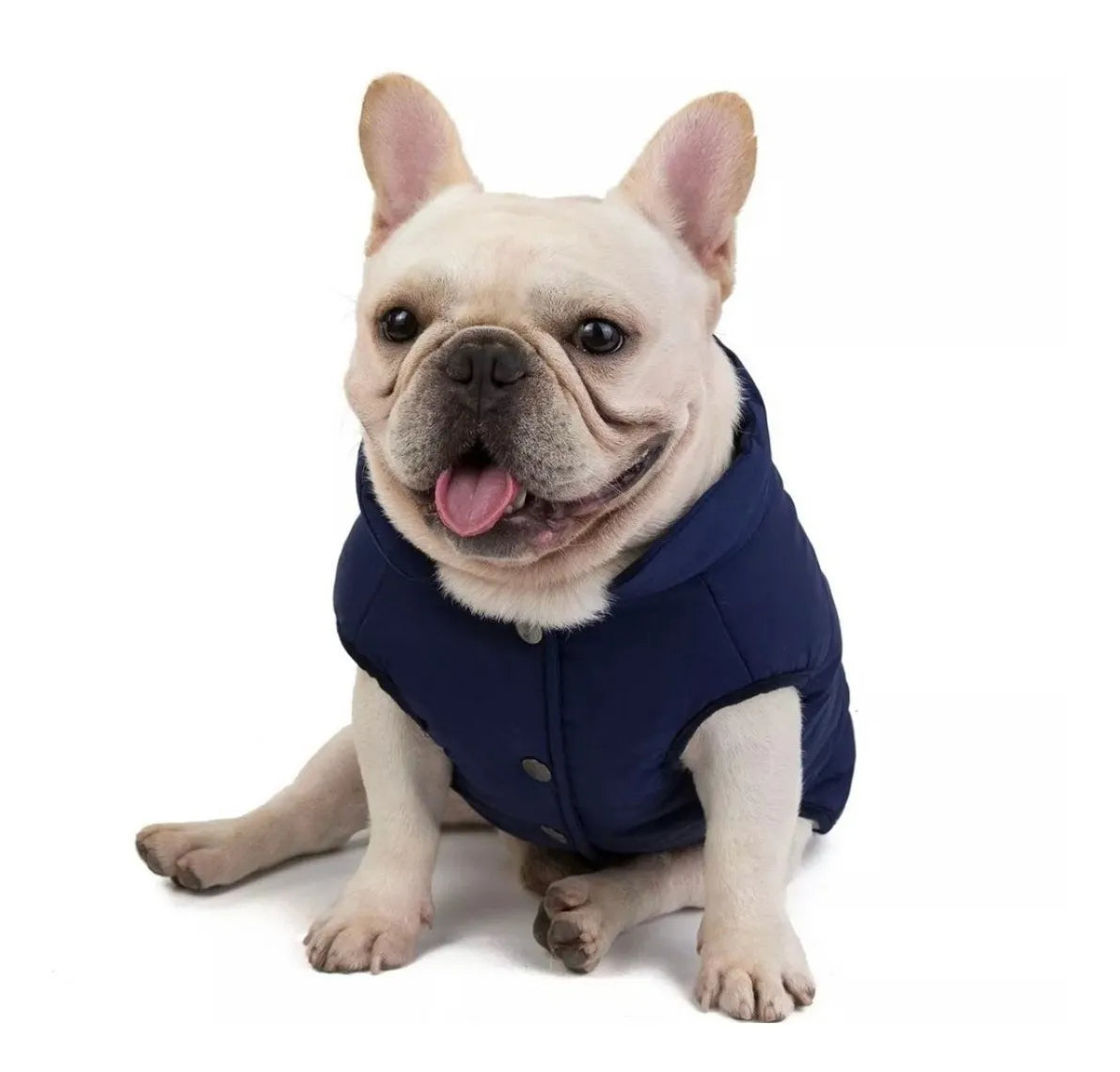 Ropa Capa Abrigo- Perro Mascota Impermeable Forro Polar Azul Verde